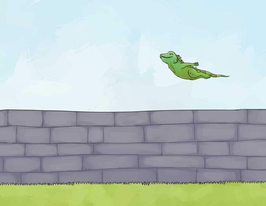 An iguana rocketed into the air happily