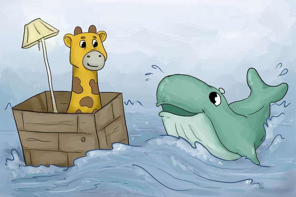 Phippy sailing on a container accompanied by a kind whale shark