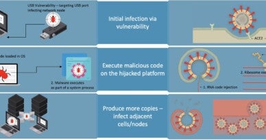 What if it was a software bug/virus? Cyber vs. COVID-19: A thought experiment