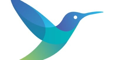 Securing Open Source: Fuzzing integration, vulnerability analysis and bug fixing of Fluent Bit