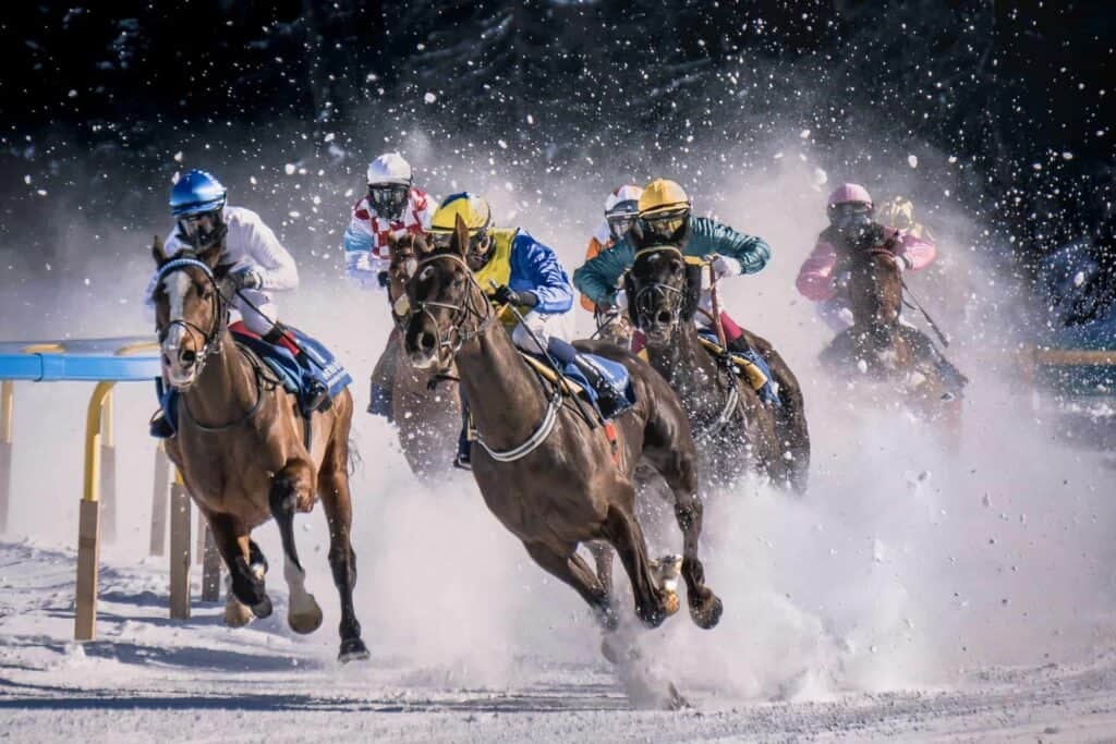 Horse racing