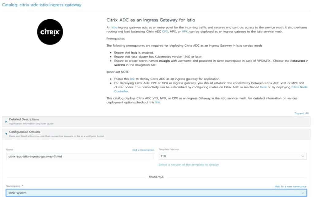 Screenshot showing Citrix ADC as an Ingress Gateway for Istio, namespace citrix-system