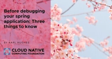 Three things to know before debugging your spring application