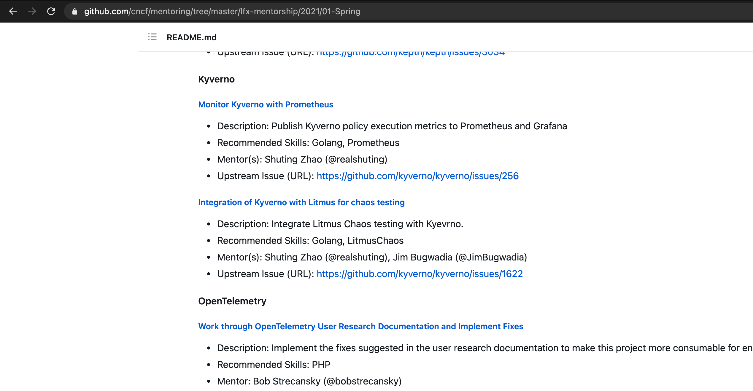 Github screenshot showing project ideas