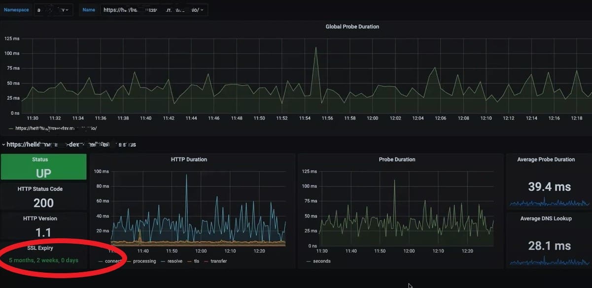 Screenshot shows Ingress example in Grafana for Blackbox Exporter