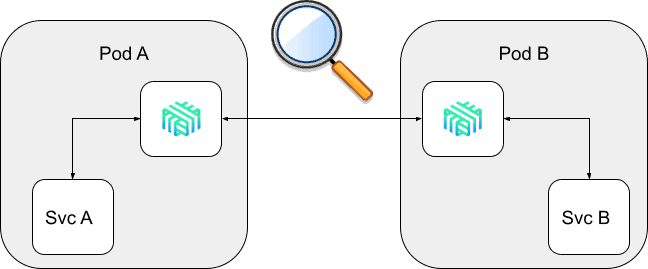 Diagram showing protocol detection 