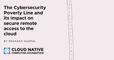 The Cybersecurity Poverty Line and its impact on secure remote access to the cloud