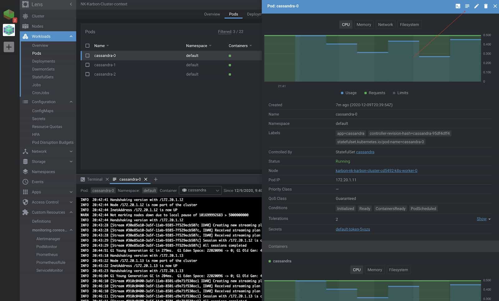 Screenshot showing Pods window on workloads option