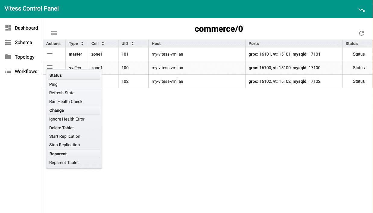 Screenshot showing Vitess Control Panel window (Old UI)