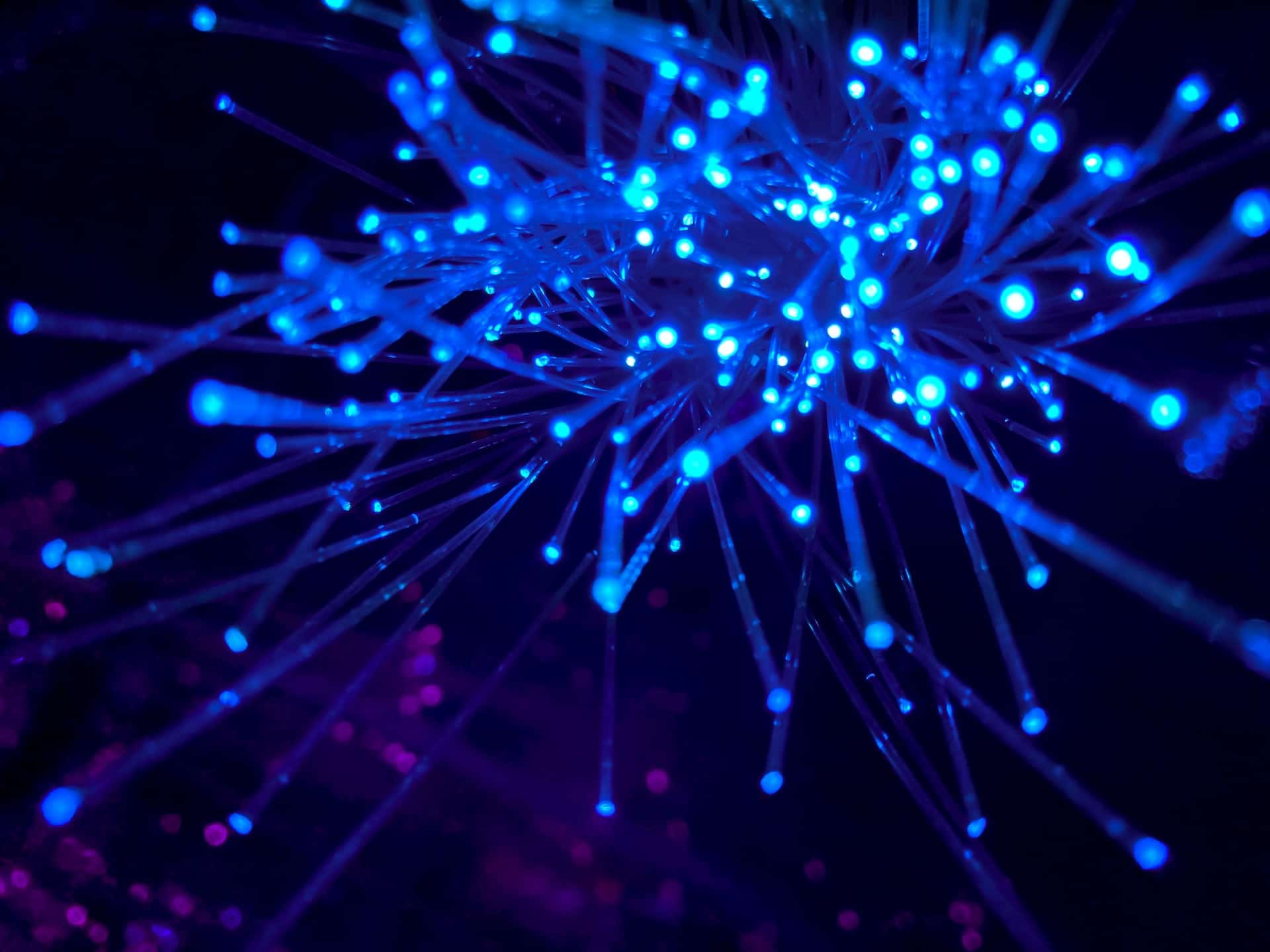 Abstract image of lights creating a network