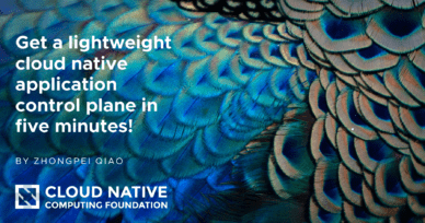 Five minutes! Get a lightweight cloud native application control plane