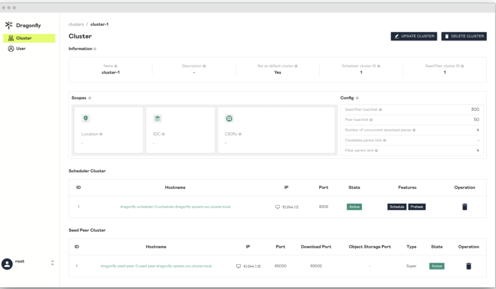 Screenshot showing Cluster-1 page on Dragonfly