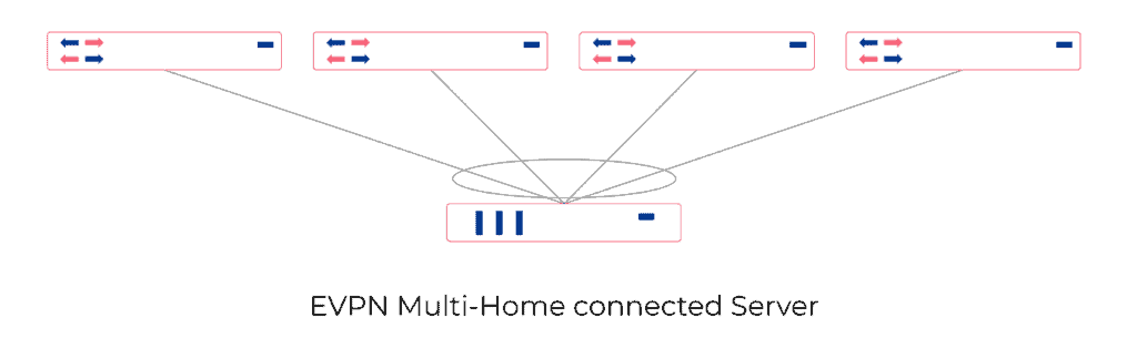 Diagram showing private cloud network flow using EVPN Multi-Home connected server