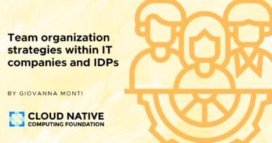Exploring team dynamics and the role of Internal Developer Platforms
