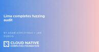 Lima completes fuzzing audit