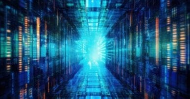 Platform Adoption Strategies: Critical Roles When Investing in Platforms