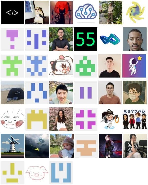 Contributor collage