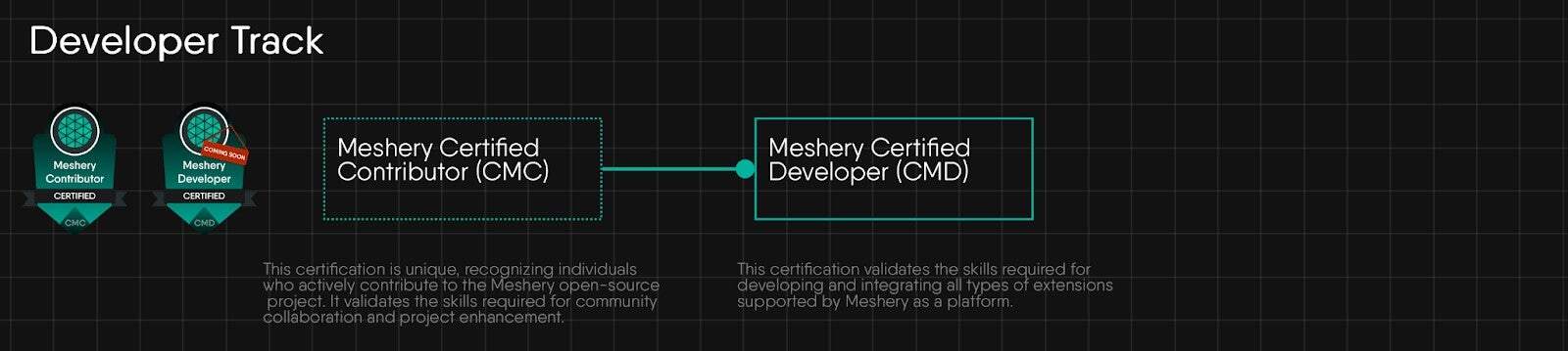 Meshery Dev Track graphic