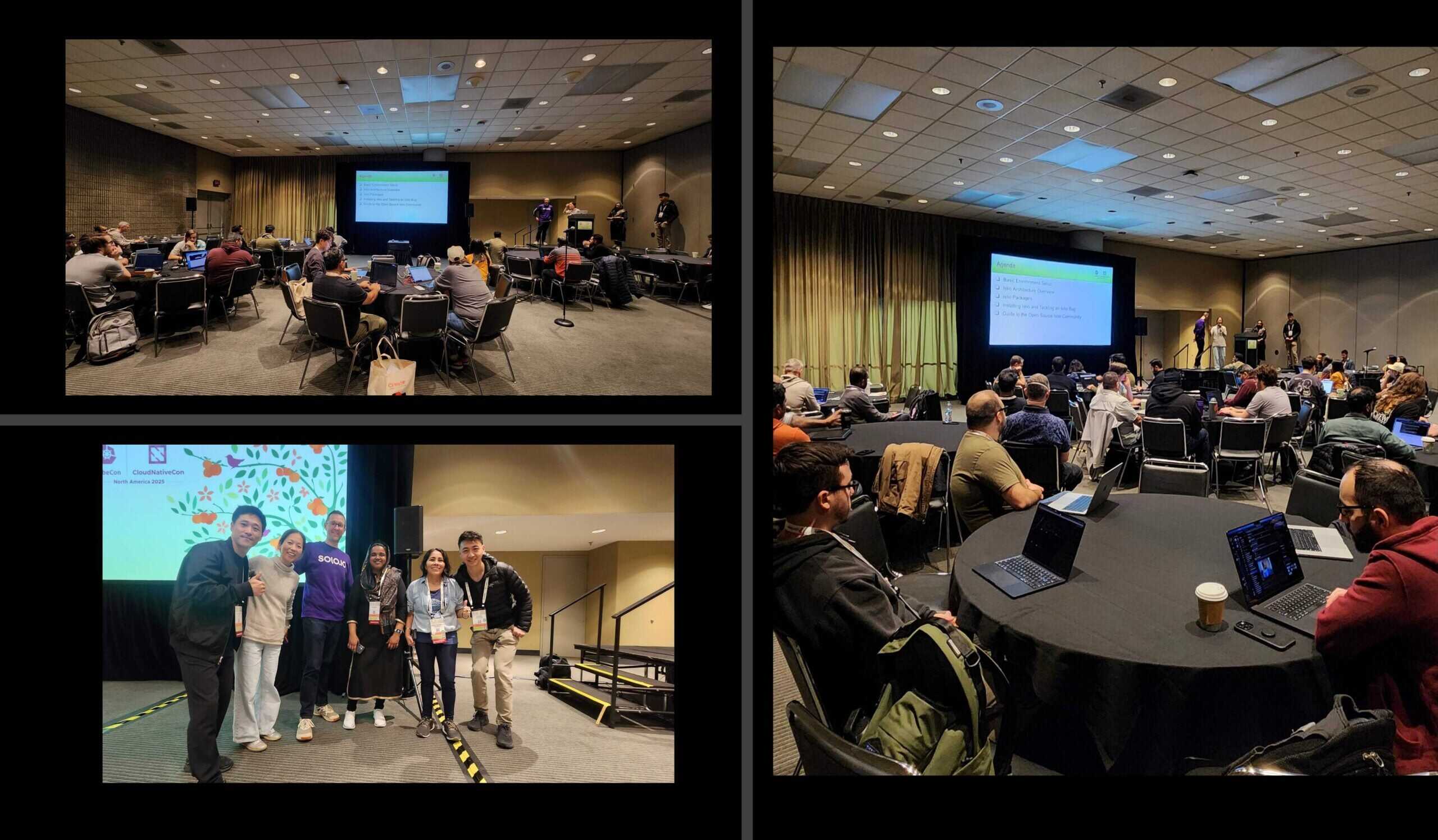 Istio ContribFest Collaboration