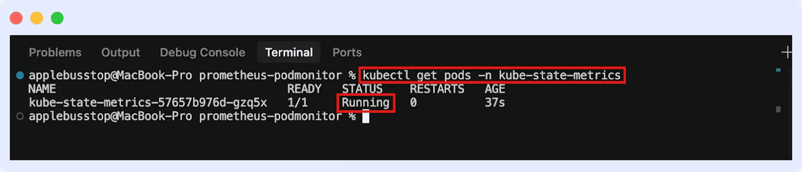 Screenshot of the terminal running: kubectly get pods -n kube-state-metrics.